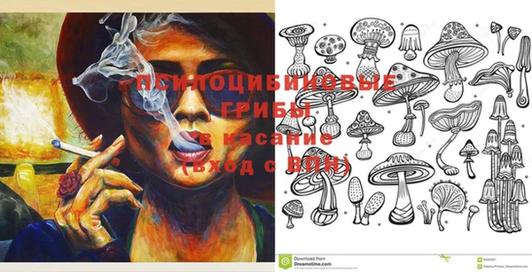 дмт Балахна