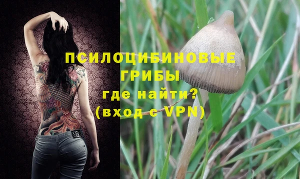 дмт Балахна