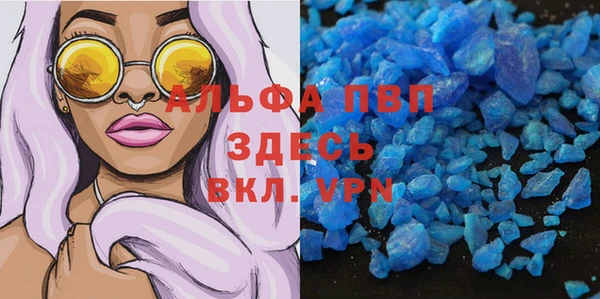 сатива Белоозёрский