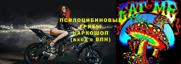 сатива Белоозёрский